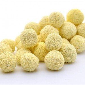 11052909154_837127644